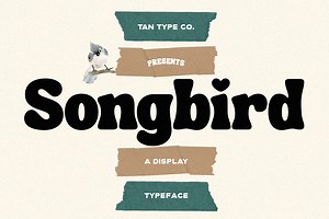 TAN - SONGBIRD, a Font by TanType