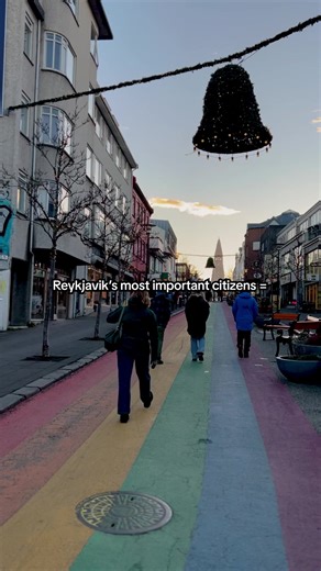 Meet Reykjavik’s famously friendly cats on a guided tour through the city’s neighborhoods, featuring plenty of historical facts, stories, and frequent feline interruptions. 🐾