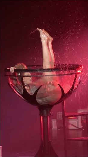 Bosco STUNS in Martini Glass