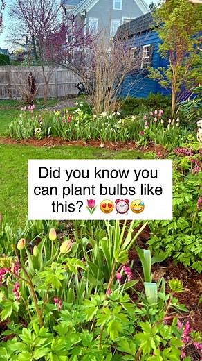 Plant Bulbs Easily: Fall & Summer Gardening Tips