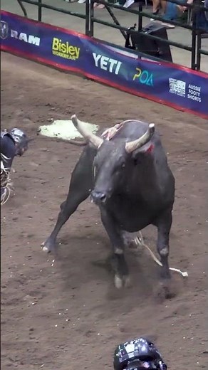 Roid Rage’s Final Out 🐂 Zane Hall Rides a Legend | #pbr