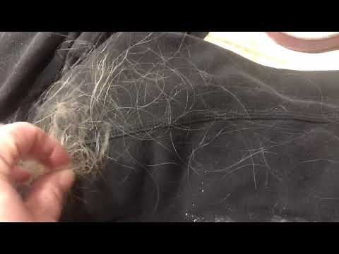 Waxy Film on Skin, Hair Loss Horsehair Nematomorpha Human Parasite Symptoms 1-20