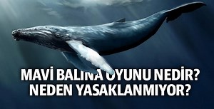 Mavi Balina oyunu nedir, neden öldürüyor? İntiharlara yol açan mavi balina oyunu yine can aldı