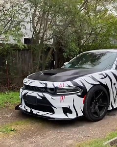 33K views · 199 reactions | Customer Speechless After Tiger Wrap! | Paradox The Wrapper | Facebook