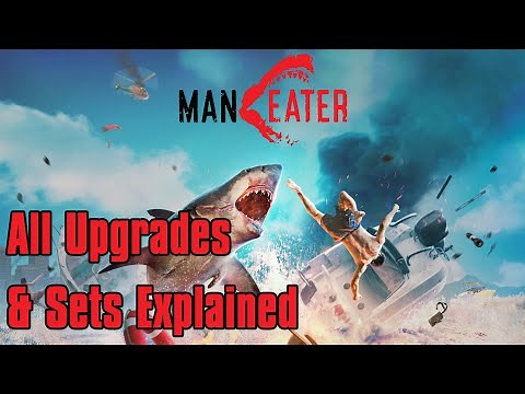 Maneater - All Upgrades & Sets Explained