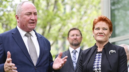 Maiden: How Hanson’s simple message could win more MPs