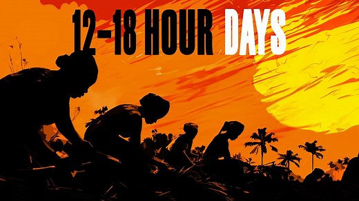 Overview of the captives’ experience and enslaved Africans’ attempts to gain their freedom  - BBC Bitesize