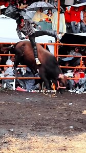 Man Dead With Head Wracked In Bull Fight