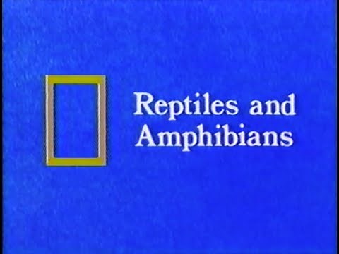 National Geographic: Reptiles and Amphibians (1968 / 1989 VHS)