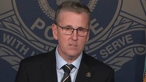 Seagull struck hard during a cricket match | Daily Headlines