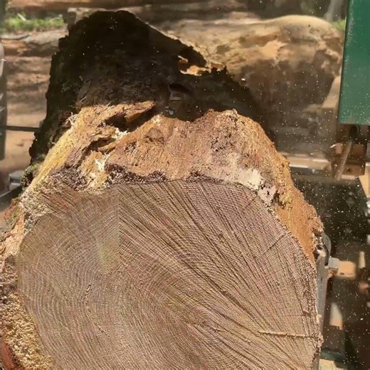 My Wood Is Bent #woodworking #diy