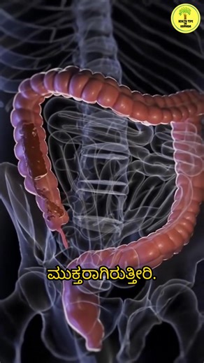 641K views · 4.4K reactions | The Most Powerful Remedy for Stomach Problems! #DigestiveHealth #NaturalCure #HomeRemedies #HealthyLiving #GutHealth | Health Tips in Kannada | Facebook