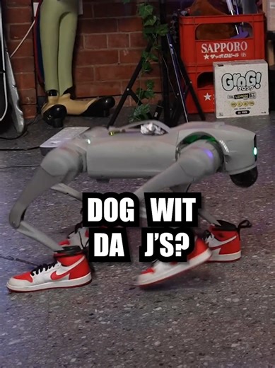 OH HECK NAH! ROBOT DOG WITH DA J'S 😳