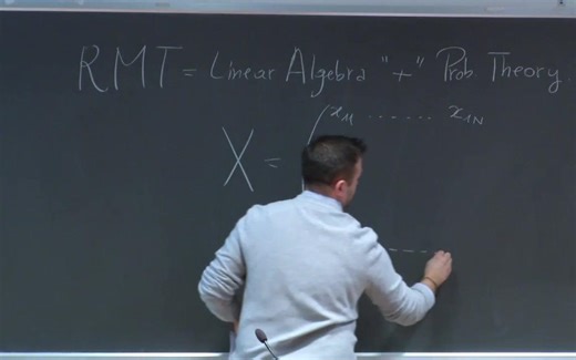 【随机矩阵：理论与实践】【ICTP】Random Matrices: Theory and Practice by Pierpaolo Vivo