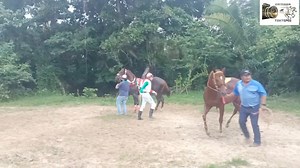 80K views · 1.5K reactions | Carriles El Crucero. Santa Isabel  200 varas El caracol cdra sacrificio Gana al código cdra cazadero Jockey Jorge Morales. Evento del 06/12/2025  #camaratuxtepec  | Cámara Tuxtepec | Facebook