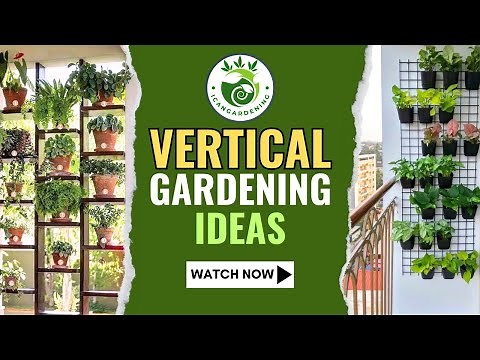 Vertical Gardening Ideas || Ideas for Vertical Gardens to Take Your Garden to New Heights