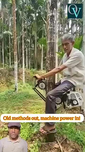 1.9K views · 3 comments | From ropes to engines- Tree climbing just got smarter! #fblifestyle #reactflix | React Flix | Facebook