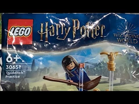 25 Days of Vlogmas Day 8: LEGO Quidditch Practice Build With Me