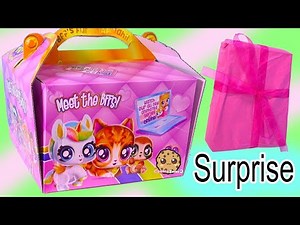 BFF Pets Dolls Best Furry Friends ! Giant Surprise Package Box ! Cookie Swirl C