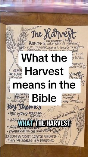 Harvest meaning in the Bible from Old Testament to New Testament #biblestudytime #biblejournaling