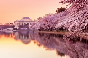 April Showers Bring Flowers, Good Weather, & More At These Remarkable Spring Destinations