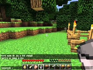 [Minecraft FR] Comment faire un champs. Pour débutant