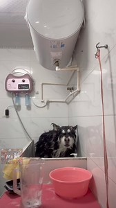 He’s saying I’m not dinner tonight | Mr.B