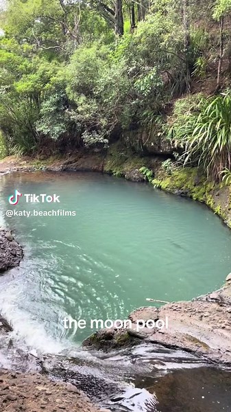 Exploring Mako Island: Real-Life Adventure