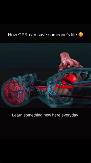 🧠 Body & movement education 💪 Kinetotherapy • Rehab • Exercises 📍 Learn something new every day