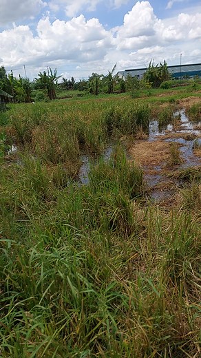 24K views · 552 reactions | Napadpad sa isang lugar .. | My Daily Routine Vlog | Facebook