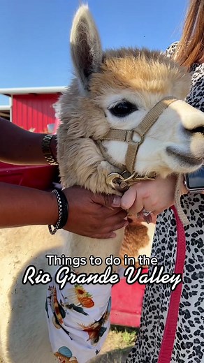 Explore Alpaquita Ranch in Monte Alto, Texas