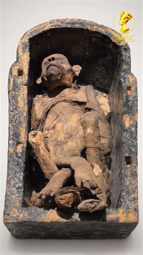 The Mummified Baboon of Luxor #egyptianmuseum #pyramidsofegypt #history #ancient #egipt