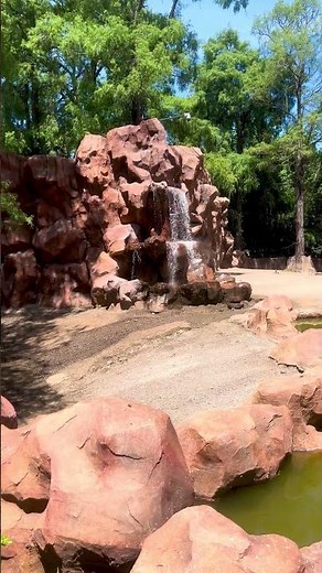 Zoológico La Aurora En Guatemala 🇬🇹 video completo en el canal!🎬 ‪@Celinazz‬ gracias por todo!🙌🏽