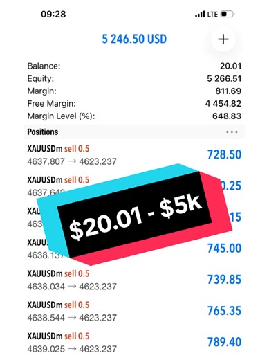 Essential Risk Management Strategies for Forex Trading