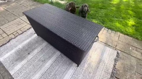 185 Gallon Large Deck Box Waterproof PE Rattan Outdoor Storage Box with Handles and Wheels, Storage Bin for Garden, Balcony, Porch, Pool, Yard