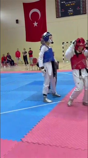Taekwondo Techniques for Aspiring Fighters