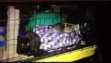 42 reactions · 24 shares | Here's the NY1 clip for those who are not time Warner cable customers and weren't able to see it :) | Victory 4 the Voiceless Animal Rescue | Facebook