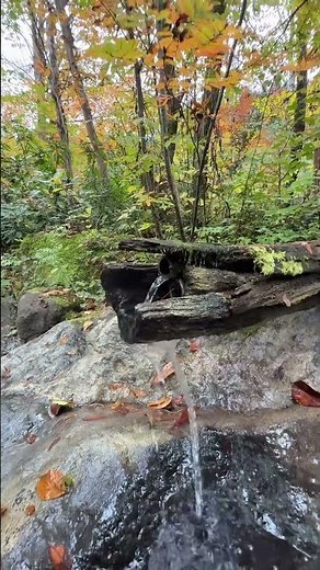 2025年11月5日奥飛騨温泉郷にある福地温泉 かつら木の郷で紅葉を見ながら露天風呂に入る。 #おすすめ #景色綺麗 #旅行 #温泉 #人気 #絶景 #自然 #歴史 #温泉