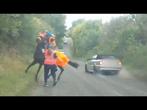 Horse Gets Spooked As Car Speeds Passed Him