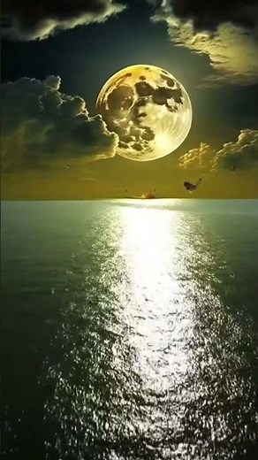 Why Sunset Light is So Beautiful