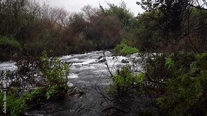 jordan river Tel Dan Israel Biblical Site