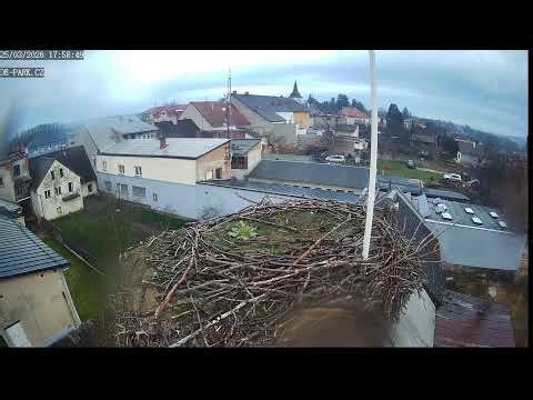 Čápi z komína firmy de-park v Miletíně – živé vysílání