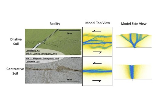 Modeling particles reveals soil density impact on surface fault ruptures