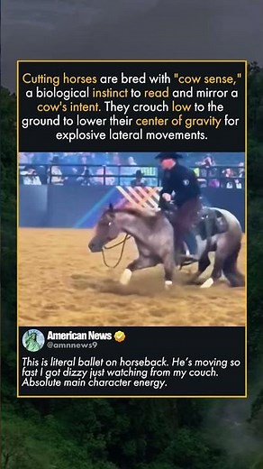 THE FASTEST TURNS IN THE EQUINE WORLD