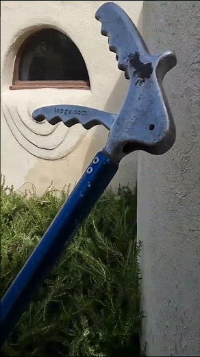 Catching a Rattlesnake, Standing in the Wrong Spot