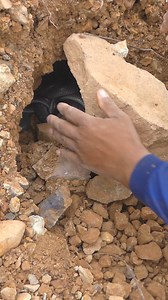 1.1M views · 3.9K reactions | Opened treasure chest full of gold #shorts #tricks #tips #treasure #shorts #treasurehunting #metaldetecting #tricks #tips #treasure #hunting #hunter #findgold #rockhounding #oregon #jasper #metaldetecting #metaldetector #treasurehunt #treasurehunting #adventu | MY CAT | Facebook