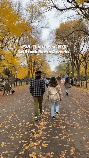 22K views · 132 reactions | Do you agree Fall is the best?  Find our FULL Fall Bucket List at our link in bio for the best 22 things to do this season  #NYbucketlist #nyc | New York Bucket List | Facebook