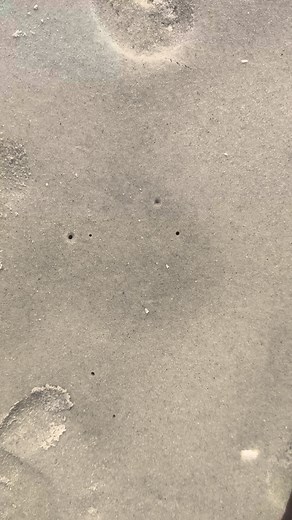 Salt in the air, Agogo everywhere   李 | Agogo Active | Facebook