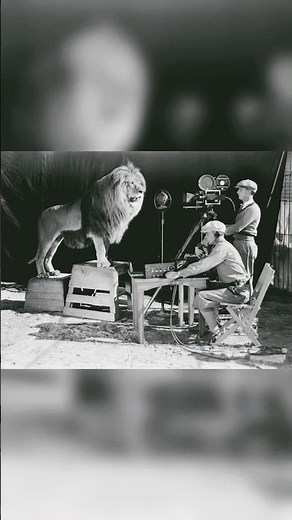 How MGM Filmed Its Iconic Lion Intro for Real☠️🦁