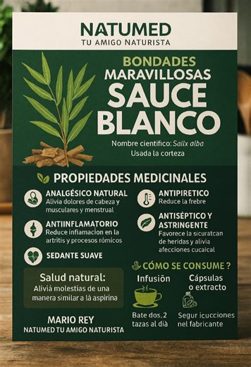 🌿 SAUCE BLANCO: EL ANALGÉSICO NATURAL QUE LA NATURALEZA NOS REGALA... En el corazón de la medicina ancestral, el sauce blanco (Salix alba) se alza como un árbol sagrado de sanación. Su corteza, rica en salicina, es la fuente natural de lo que hoy conocemos como aspirina. Pero su poder va mucho más allá… ✨ BONDADES MARAVILLOSAS DEL SAUCE BLANCO - 🔥 ANTIINFLAMATORIO profundo: Ideal para aliviar dolores articulares, musculares, artritis, tendinitis y afecciones reumáticas. - 🌡️ ANTIPIRÉTICO natu
